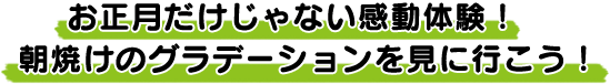 Ȃ̌IẴOf[VɍsI