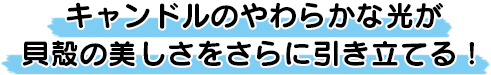 Lĥ炩ȌLk̔ɈĂI