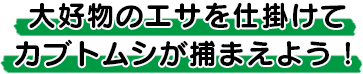 D̃GTd|ăJugV߂܂悤I