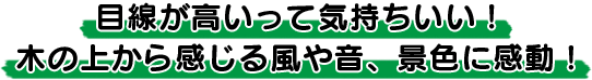 ڐċCI؂̏ォ犴镗≹AiFɊI